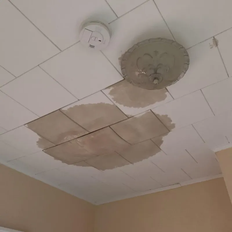 Ceiling Water Damage Repair in Lodi, OH