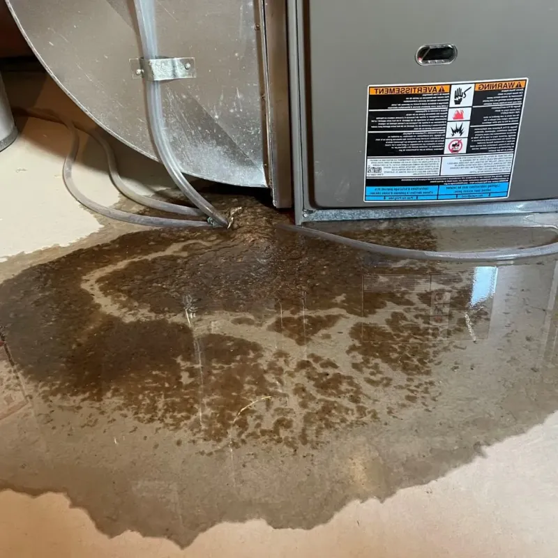 Pipe Burst and Leak Restoration in Lodi, OH